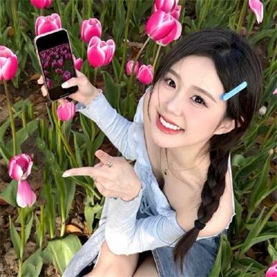 囧途追击