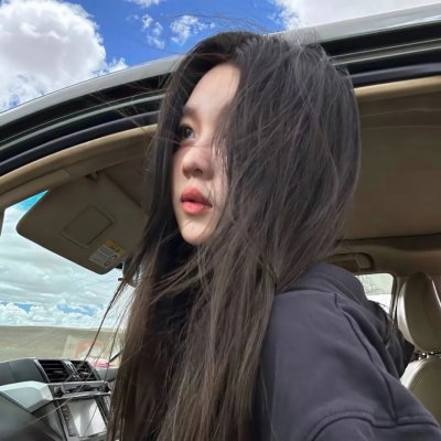 理想主义者